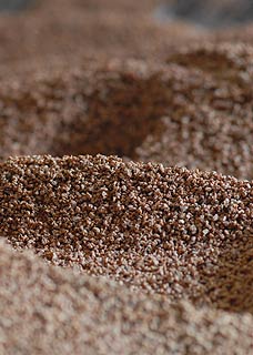 BIOMASS