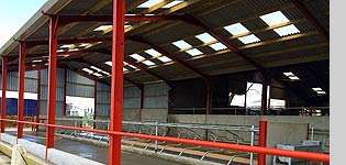 CUBICLE SHED