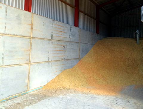 GRAIN STORES